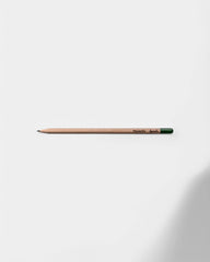 Customizable Eco-Friendly Plantable Pencil
