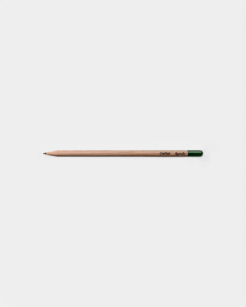 Customizable Eco-Friendly Plantable Pencil