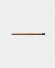 Customizable Eco-Friendly Plantable Pencil