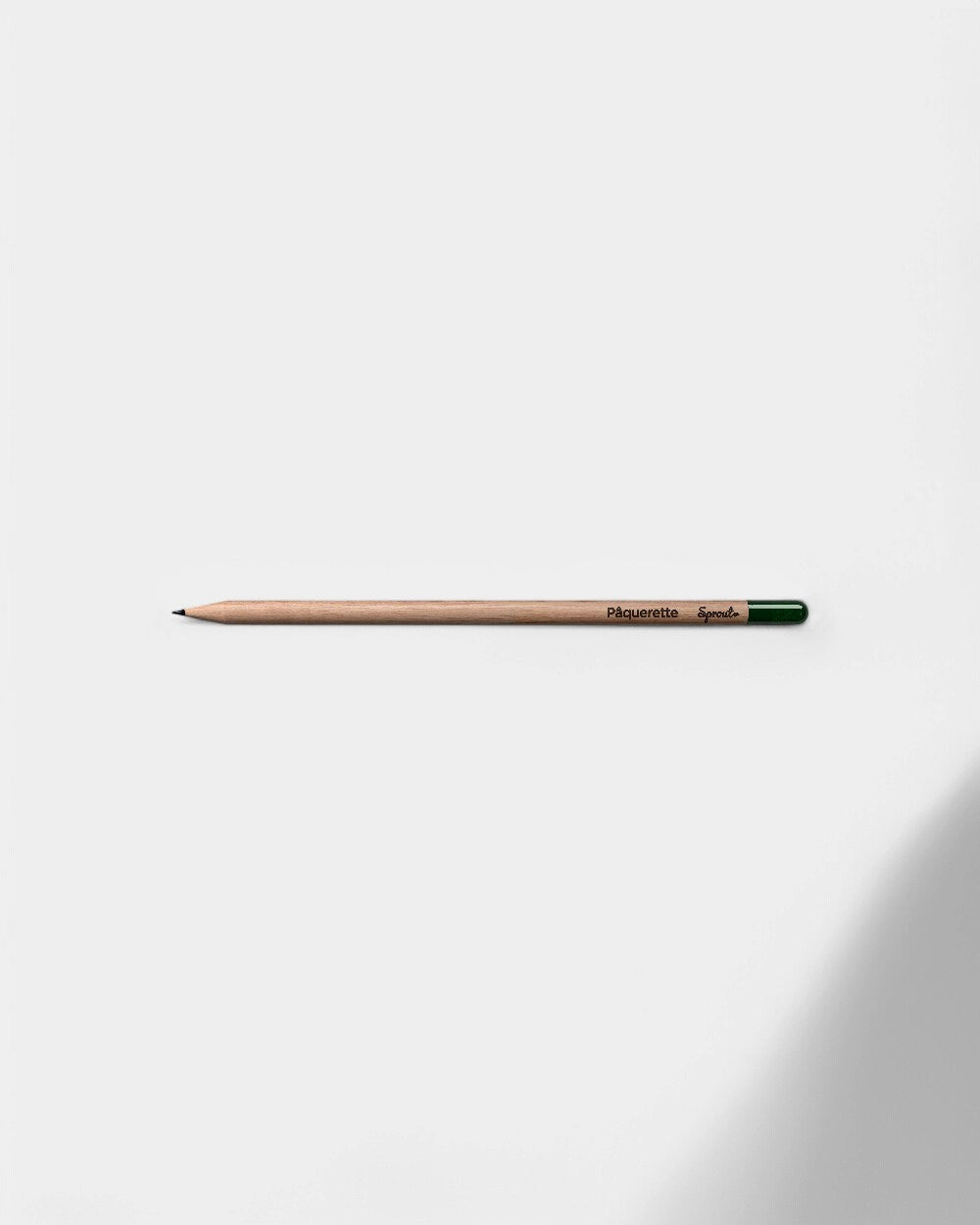 Customizable Eco-Friendly Plantable Pencil
