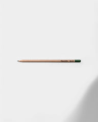 Customizable Eco-Friendly Plantable Pencil