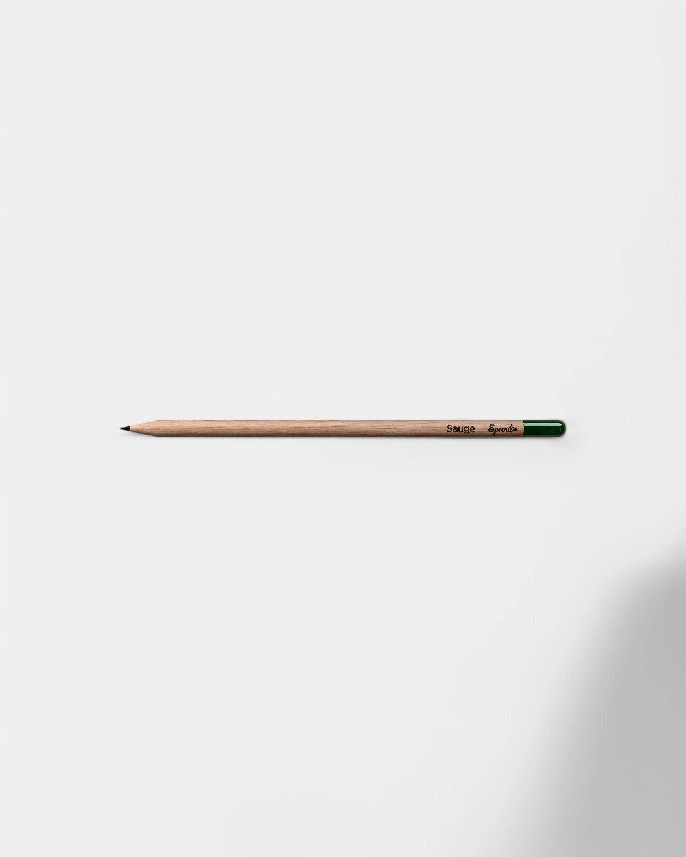 Customizable Eco-Friendly Plantable Pencil