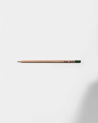 Customizable Eco-Friendly Plantable Pencil