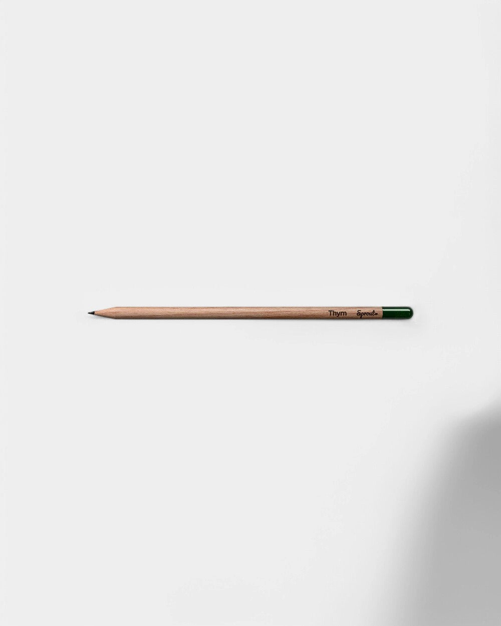 Customizable Eco-Friendly Plantable Pencil