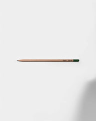 Customizable Eco-Friendly Plantable Pencil