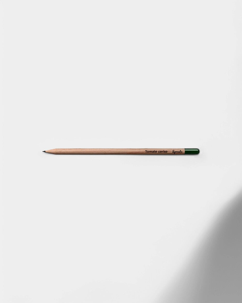 Customizable Eco-Friendly Plantable Pencil