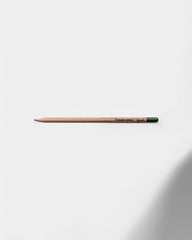 Customizable Eco-Friendly Plantable Pencil