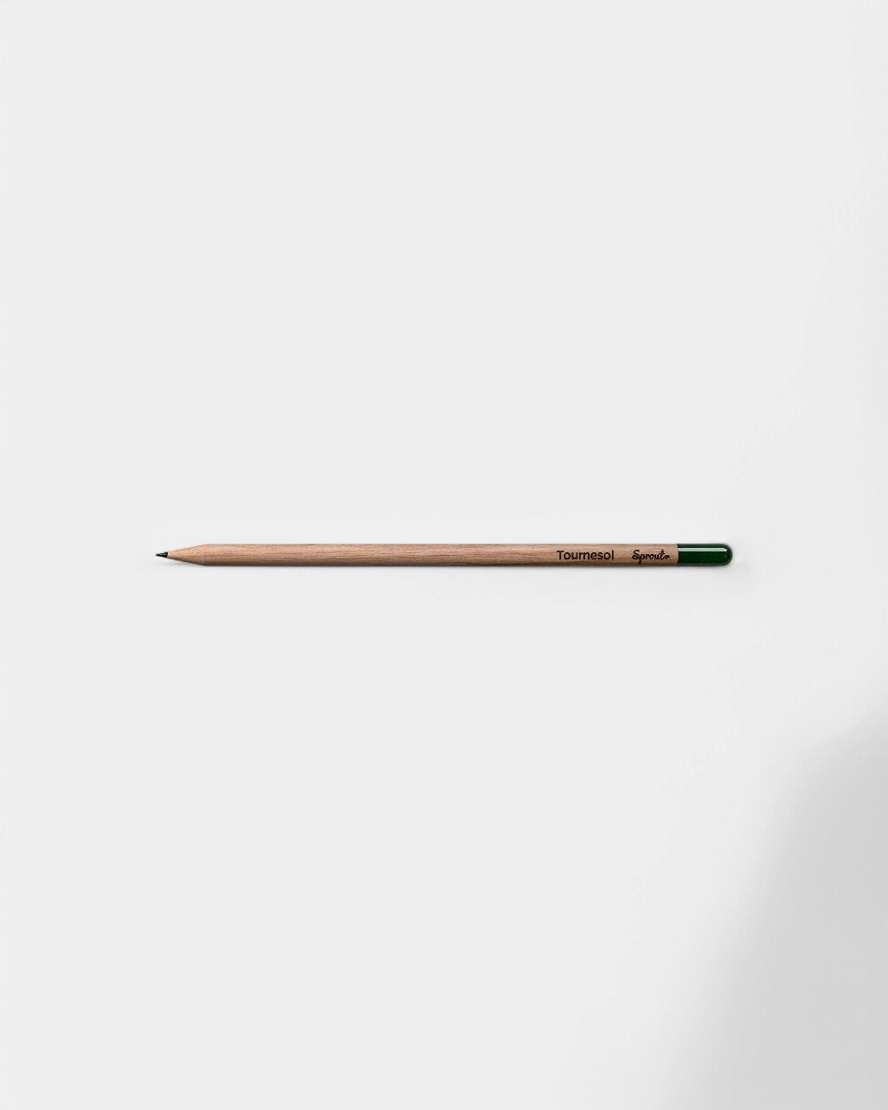 Customizable Eco-Friendly Plantable Pencil