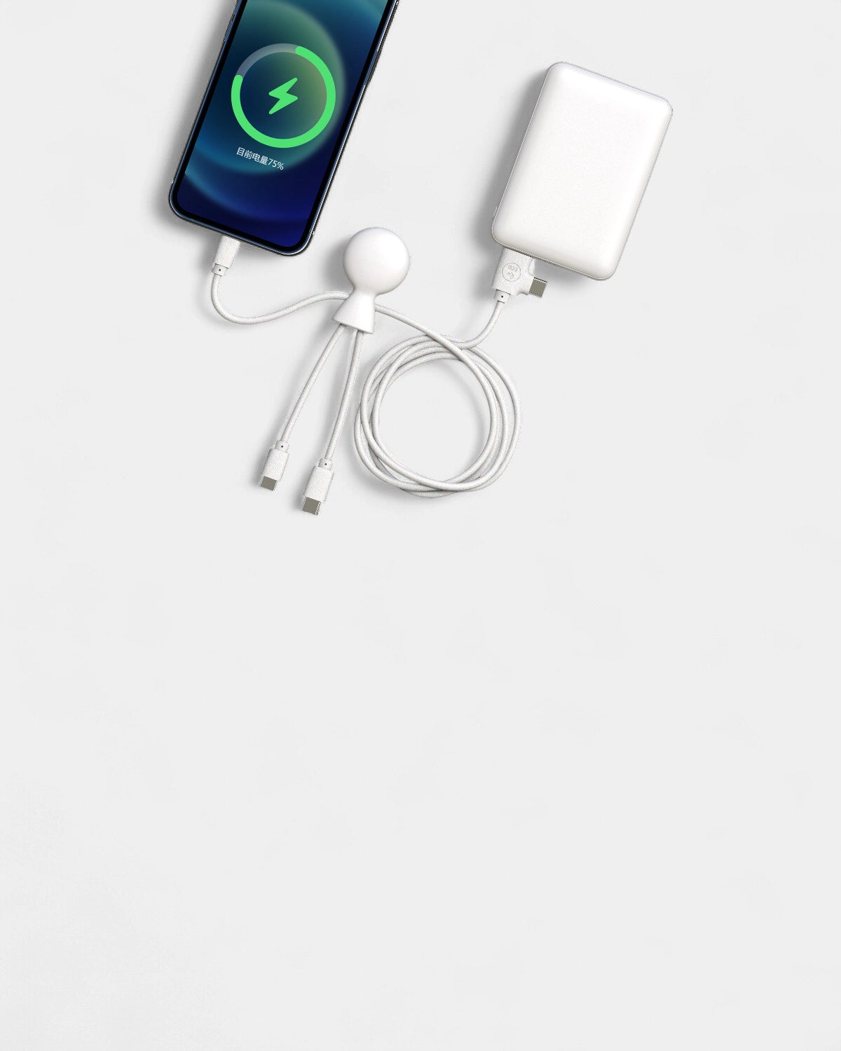 5,000 mAh Multi-Connector Charging Pack Customizable