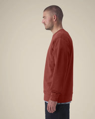Custom organic cotton sweatshirt Stanley/Stella Changer 2.0 - 3