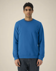 Custom organic cotton sweatshirt Stanley/Stella Roller - 88