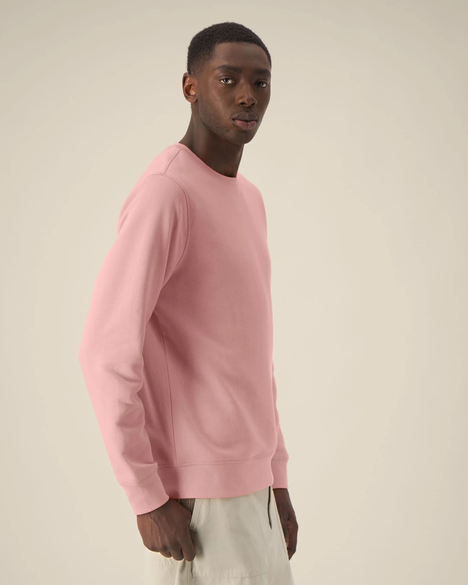 Custom organic cotton sweatshirt Stanley/Stella Roller - 64