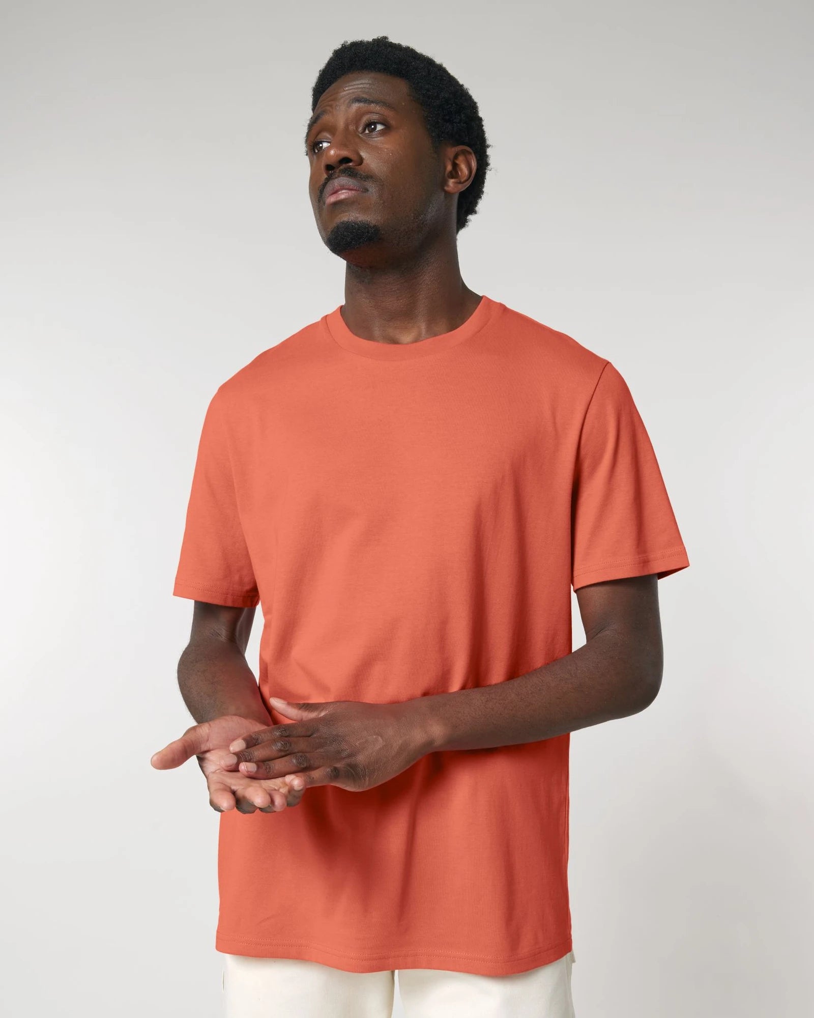 Custom organic cotton T-shirt Stanley/Stella Creator 2.0 - 55