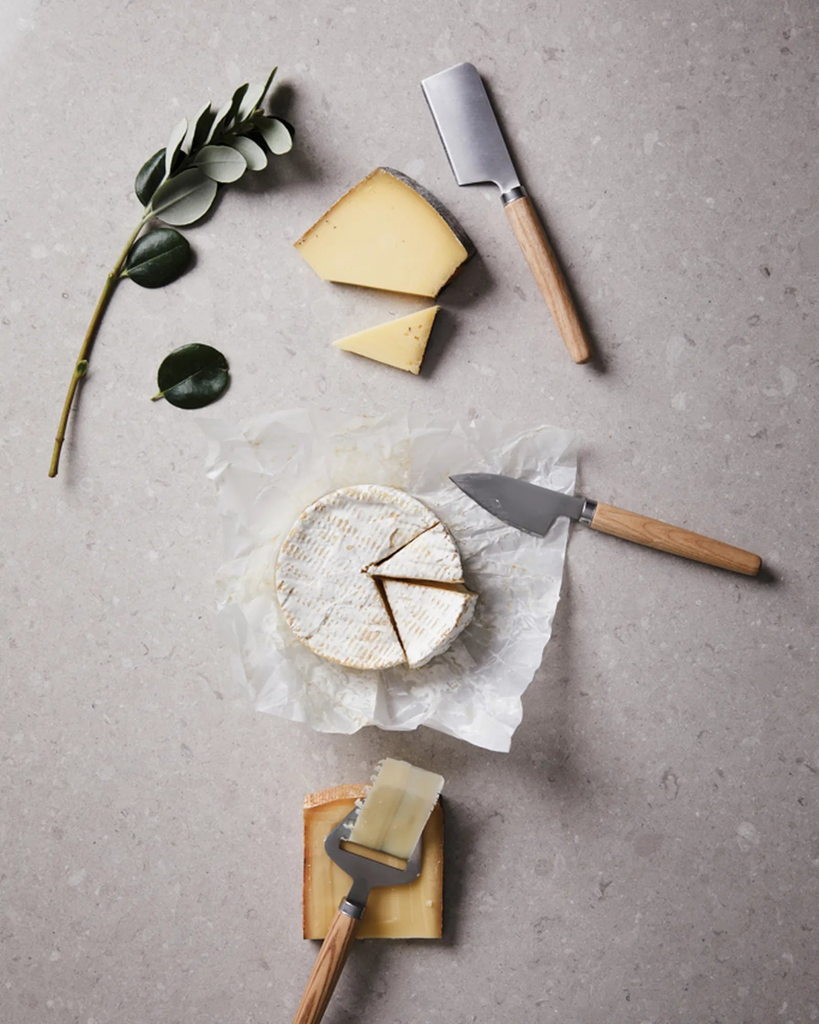 Custom stainless steel cheese knife set Vinga Retro - 4