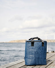Custom insulated backpack cooler Vinga Baltimore - 22
