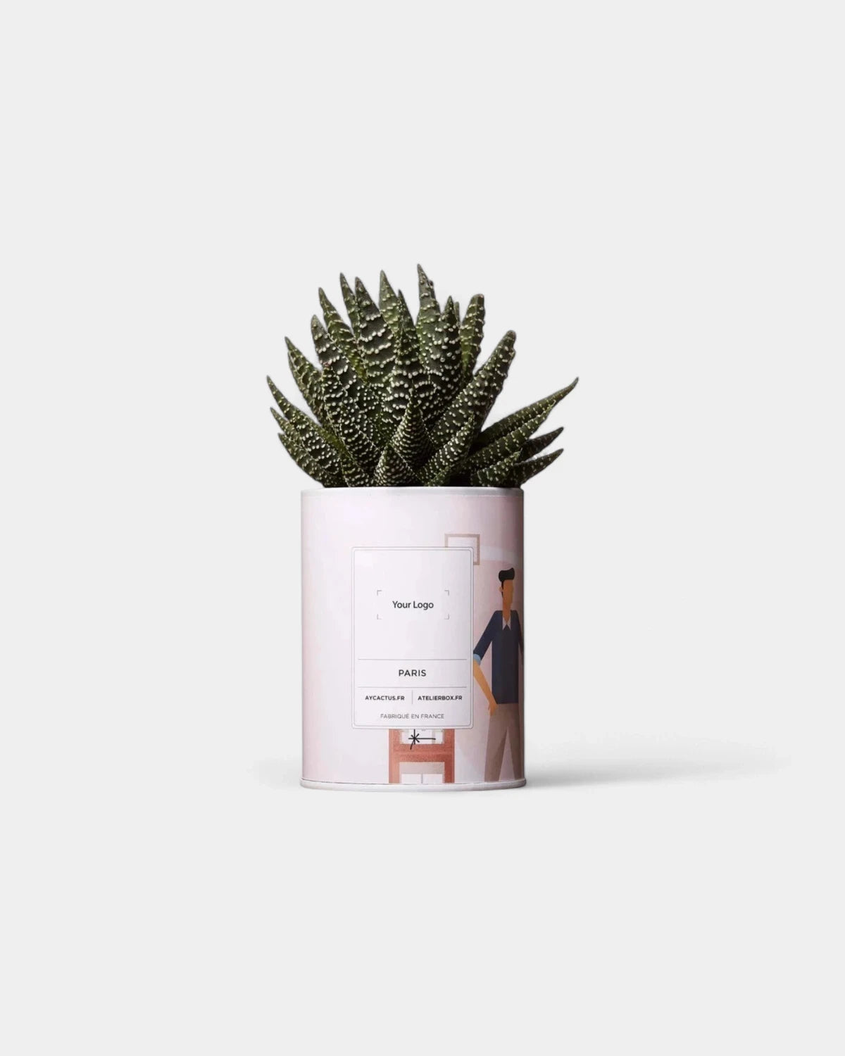 100% Customizable Cactus - Ay Cactus