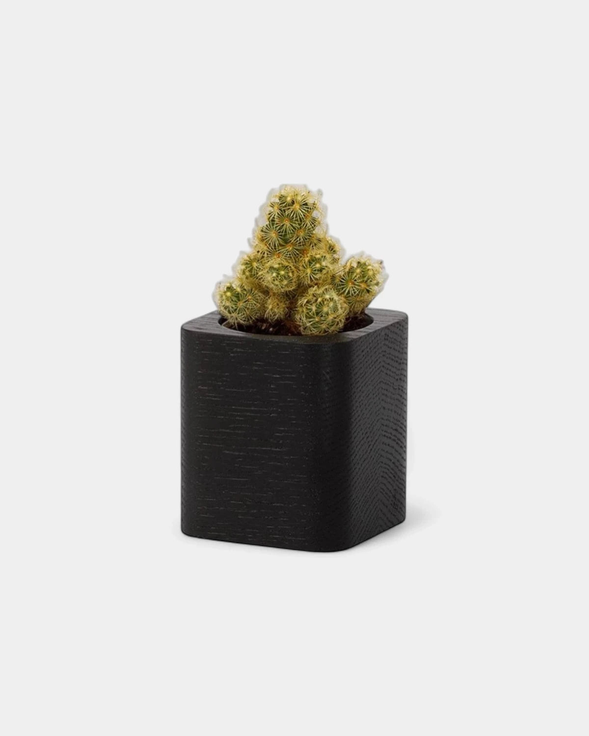 Customizable Cube Pot - 8