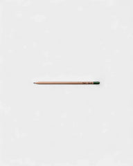Customizable Eco-Friendly Plantable Pencil - 8