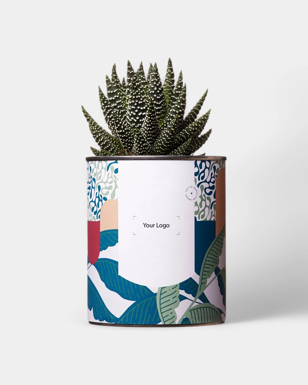 100% Customizable Cactus Diaiwaie