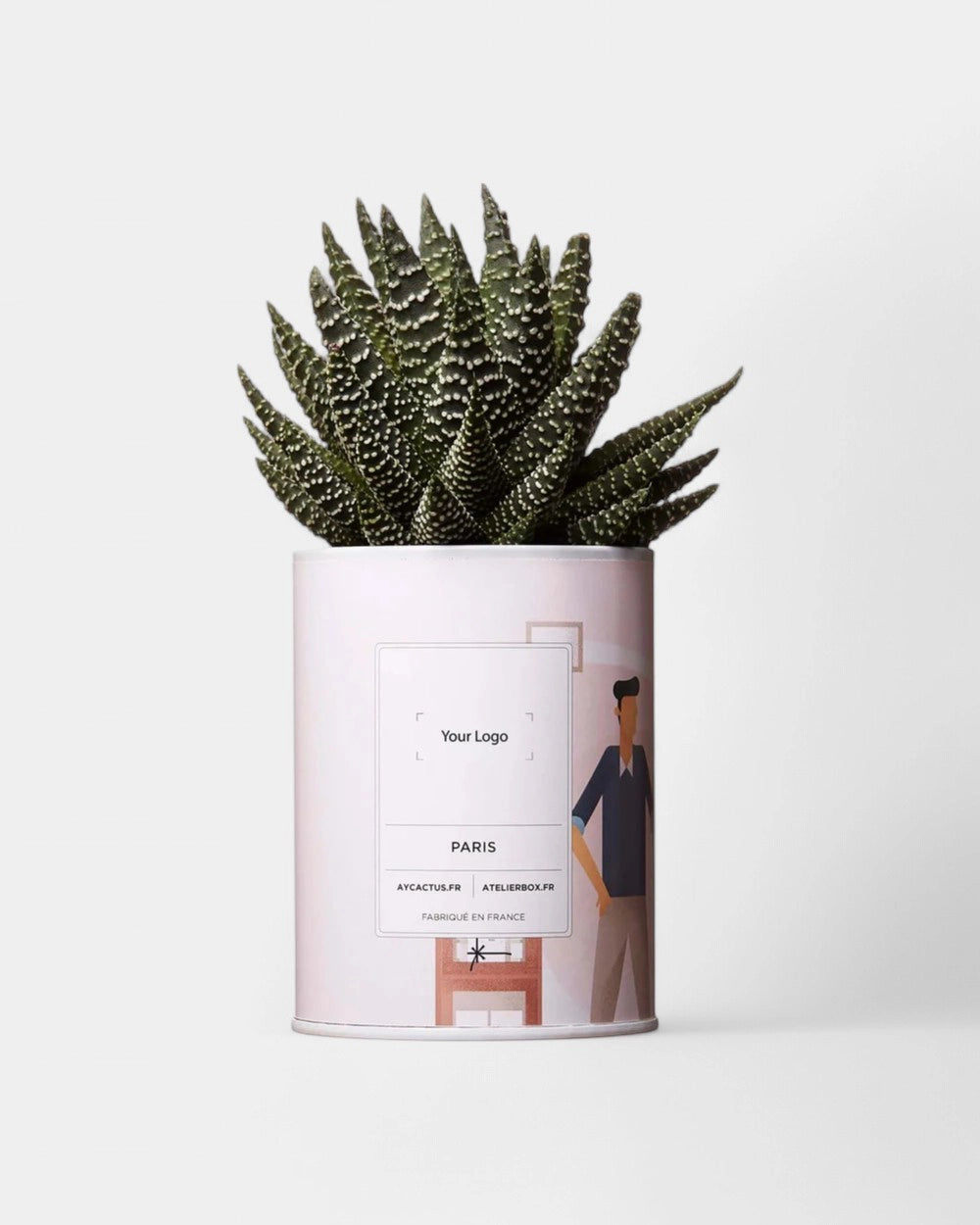 100% Customizable Cactus - Ay Cactus