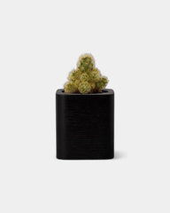 Customizable Cube Pot - 17
