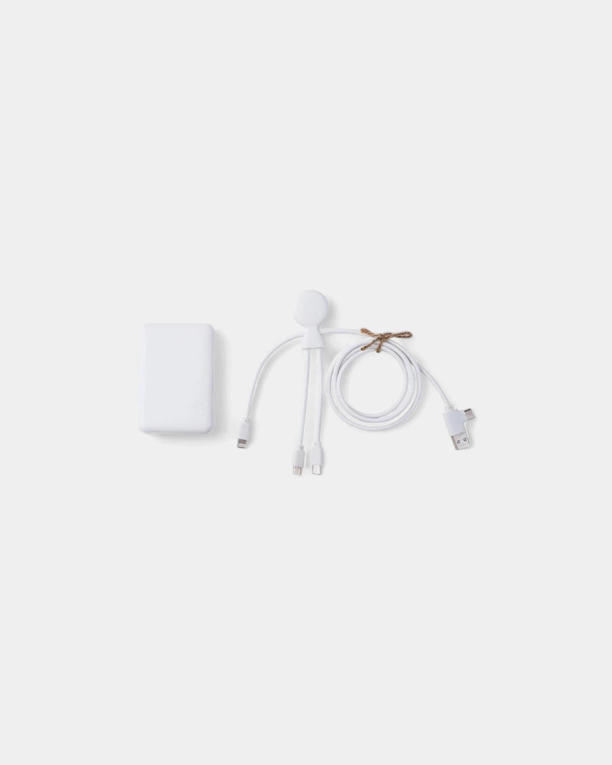 5,000 mAh Multi-Connector Charging Pack Customizable