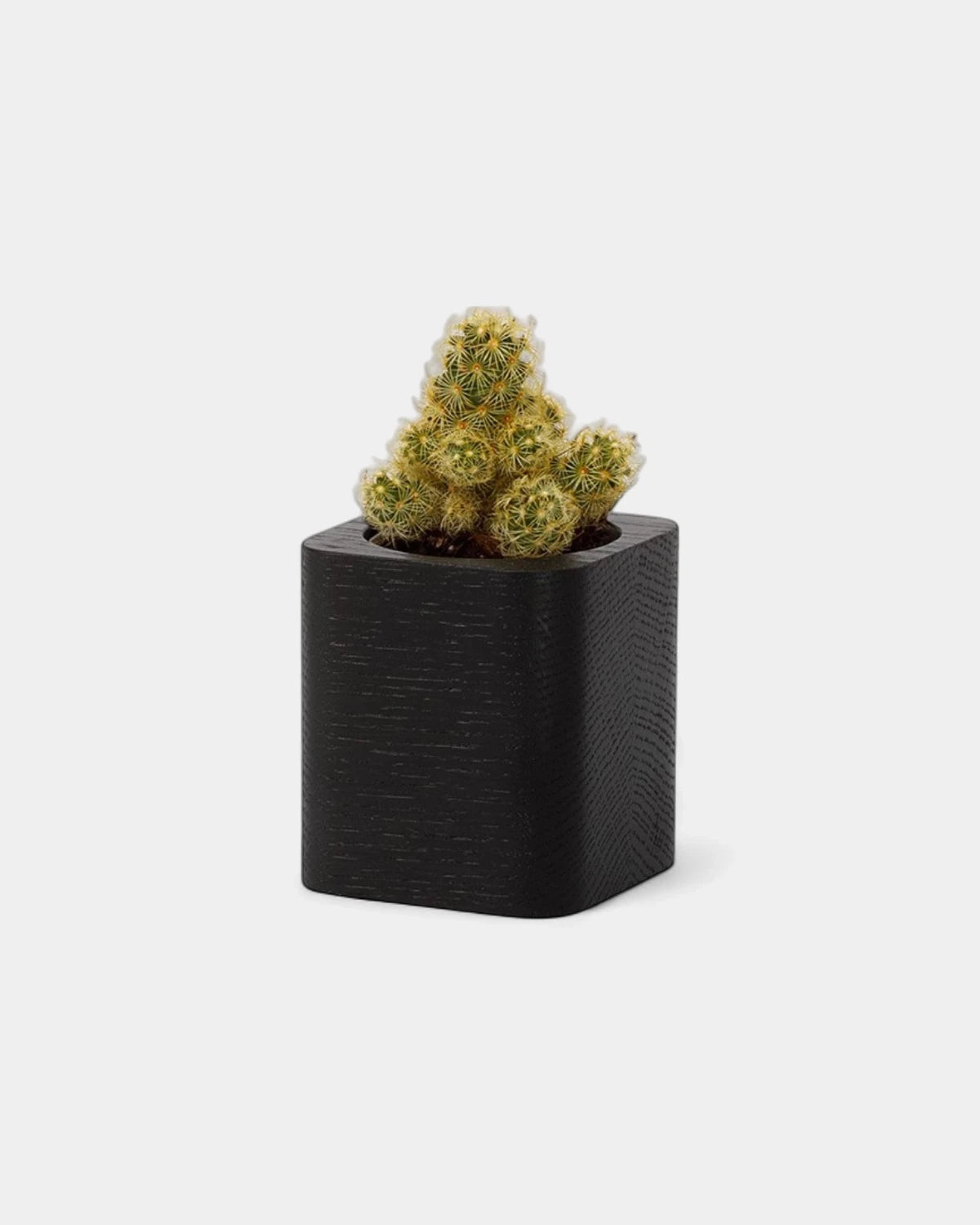 Customizable Cube Pot - 20