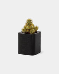 Customizable Cube Pot - 20