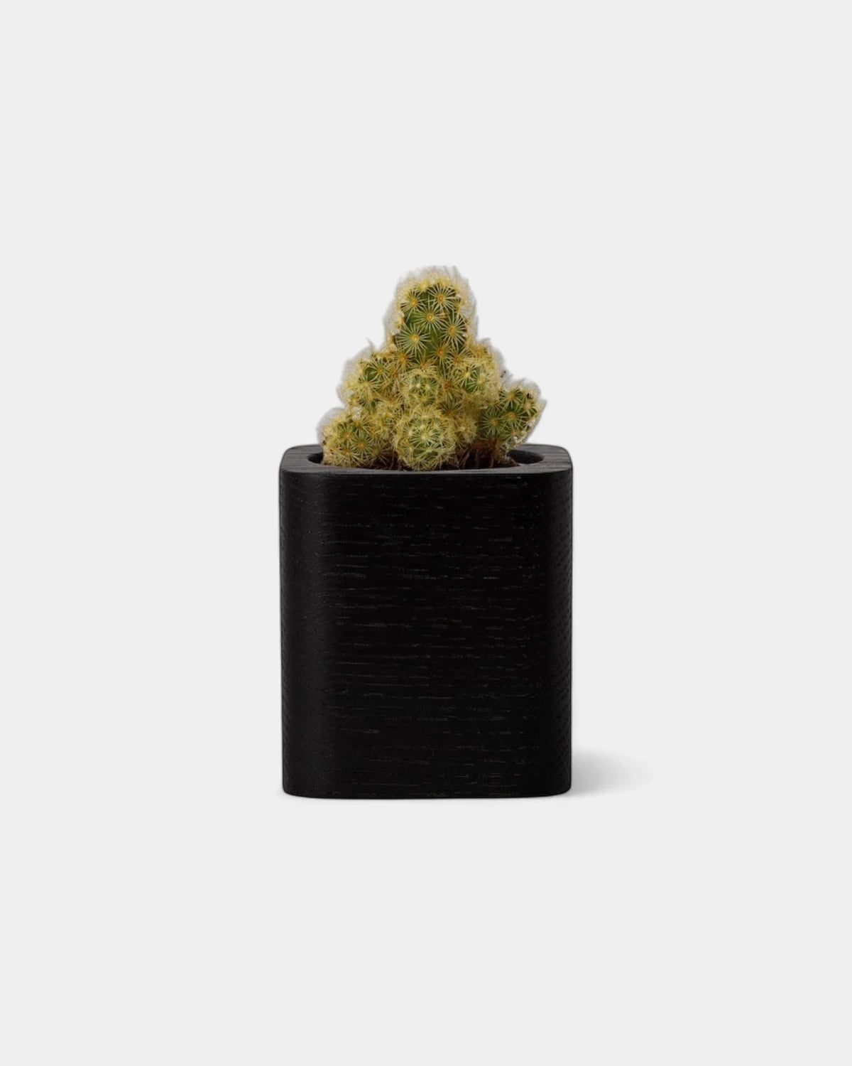 Customizable Cube Pot