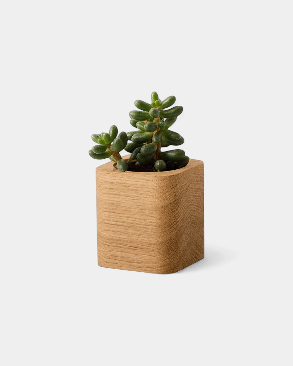Customizable Cube Pot