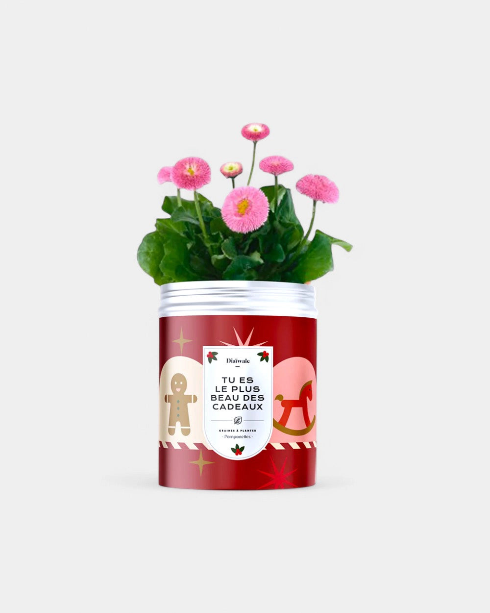 Customizable Planting Seed Kits