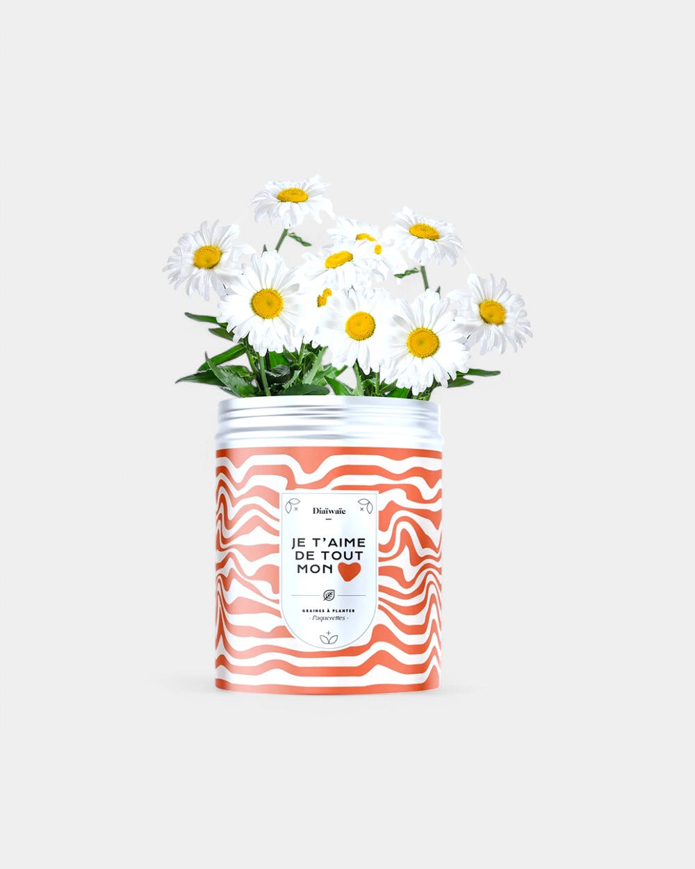 Customizable Planting Seed Kits