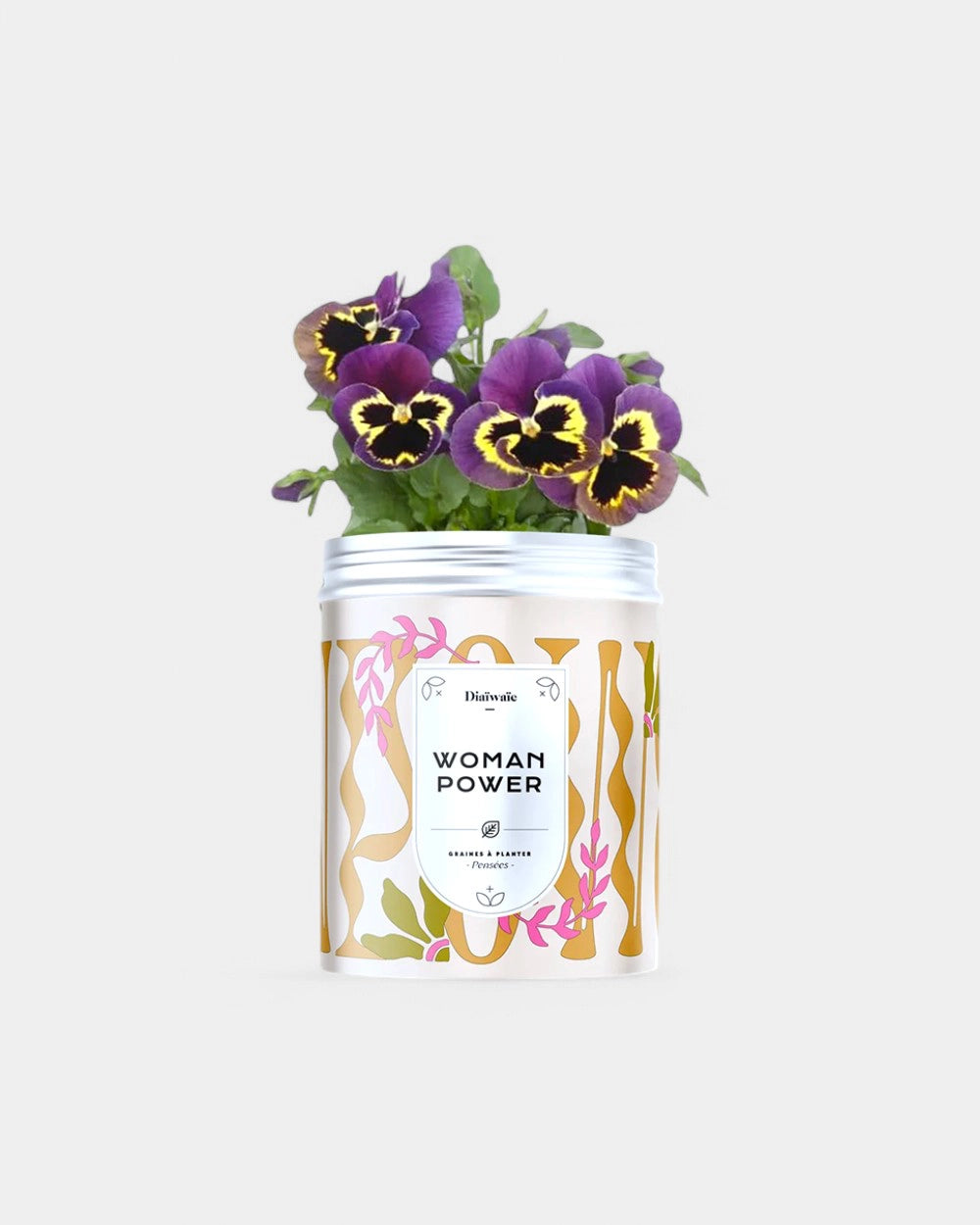 Customizable Planting Seed Kits