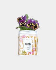 Customizable Planting Seed Kits